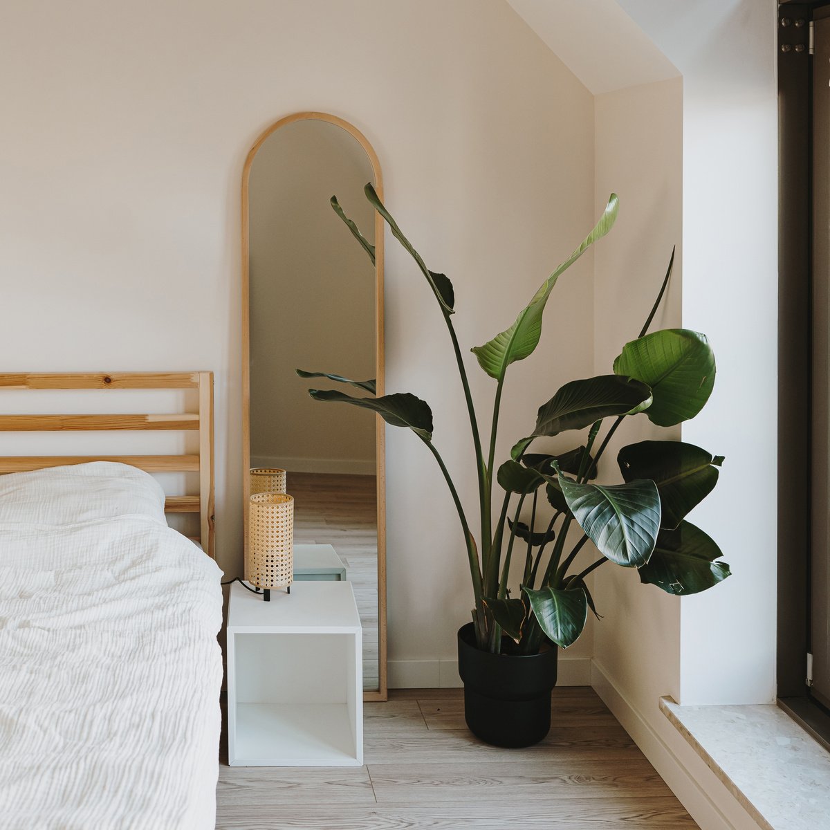 Scandinavian Bedroom with Mirror and Plant